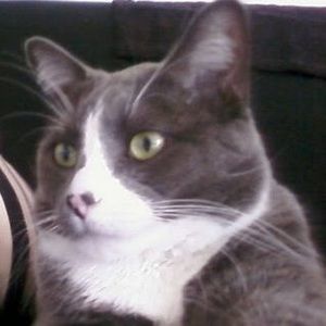 Meet your Posher, Dee